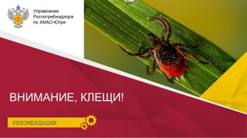 Осторожно! Клещи! Осторожно! Клещи!.