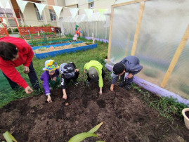 Экололята огородных дел мастера Экололята огородных дел мастера.